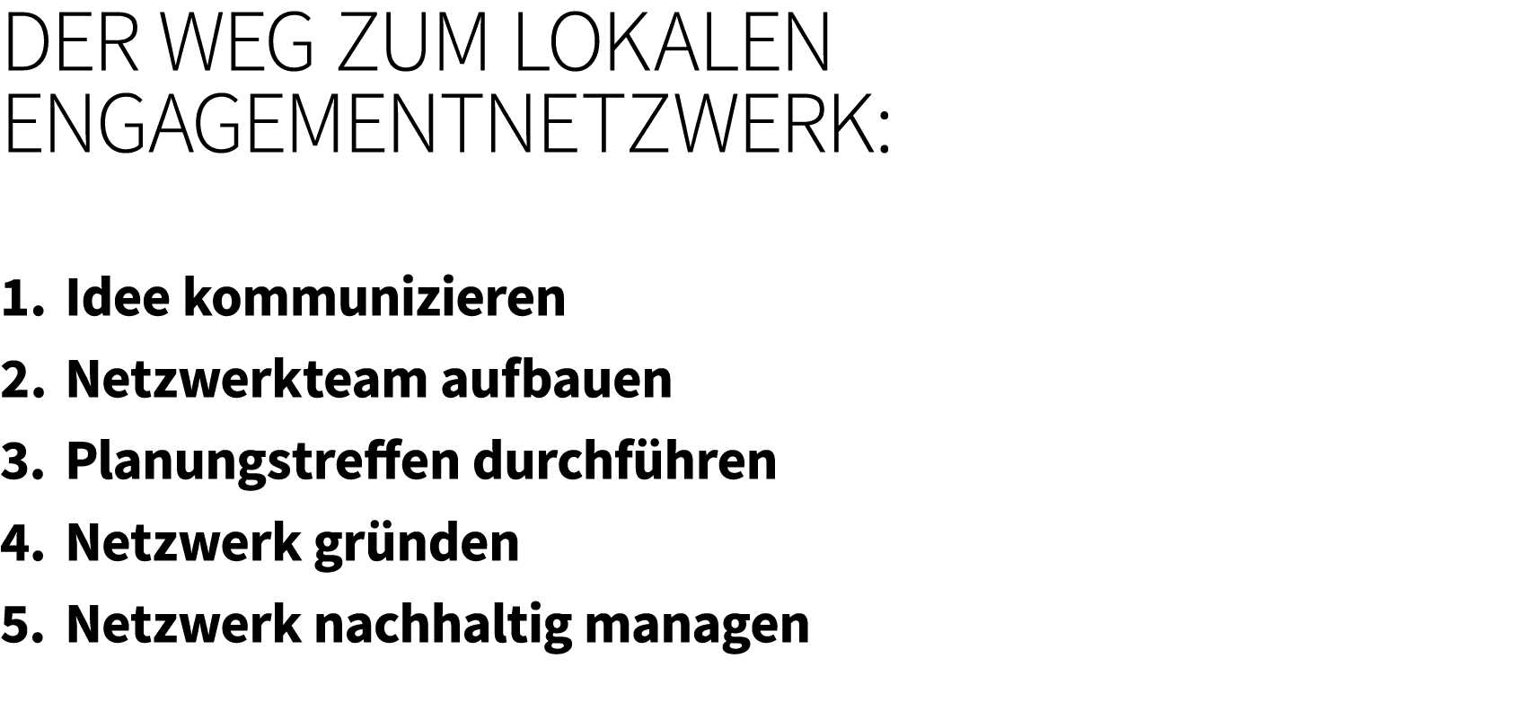 Der Weg zum lokalen Engagementnetzwerk: 1. Idee kommunizieren 2. Netzwerkteam aufbauen 3. Planungstreffen durchf hren...